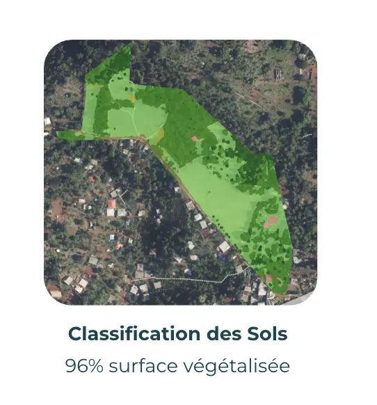 Analyse de la classification des sols réalisée dans le quartier