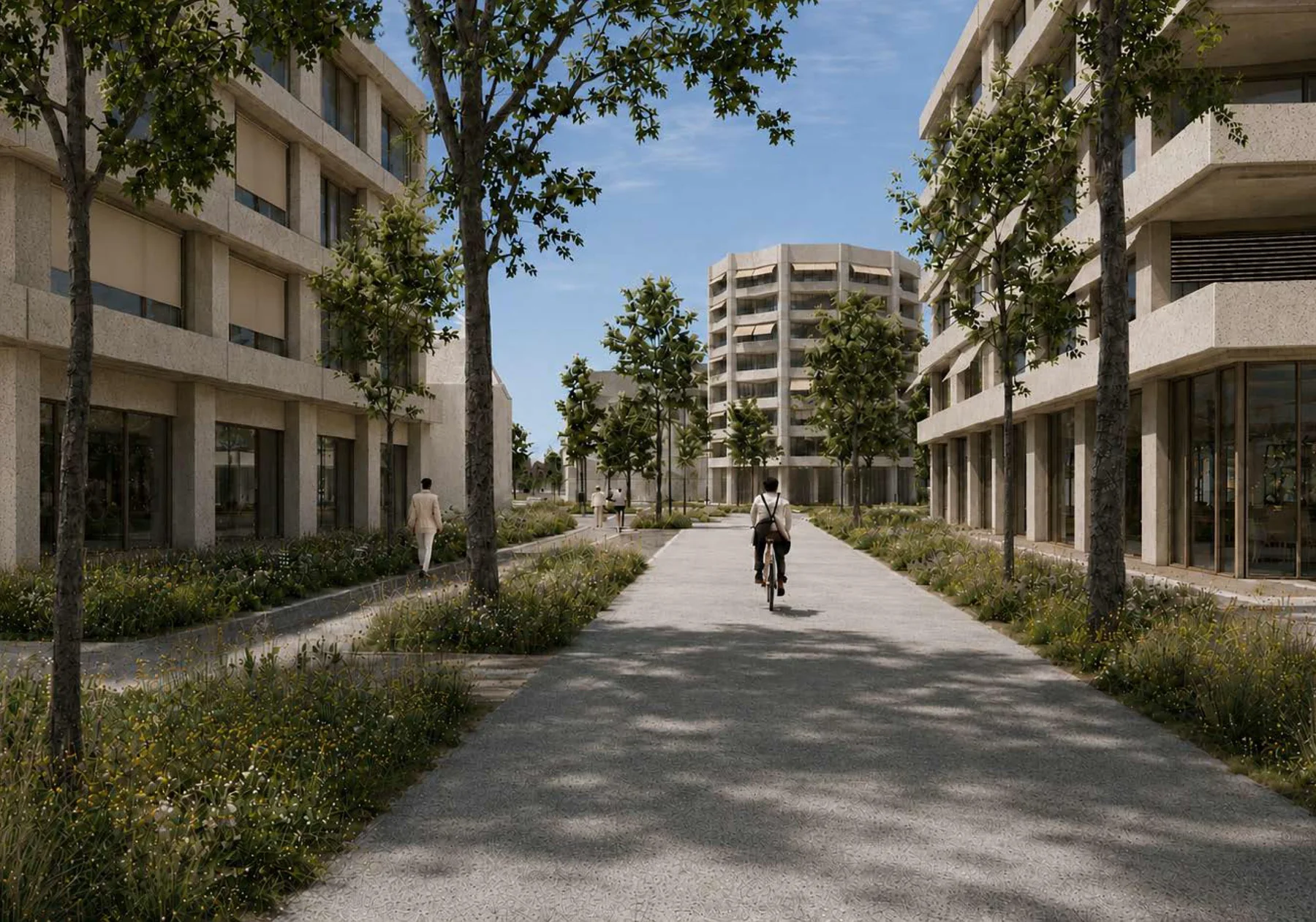 Perspective d'une allée piétonne plantée d'arbres entre des immeubles de logements