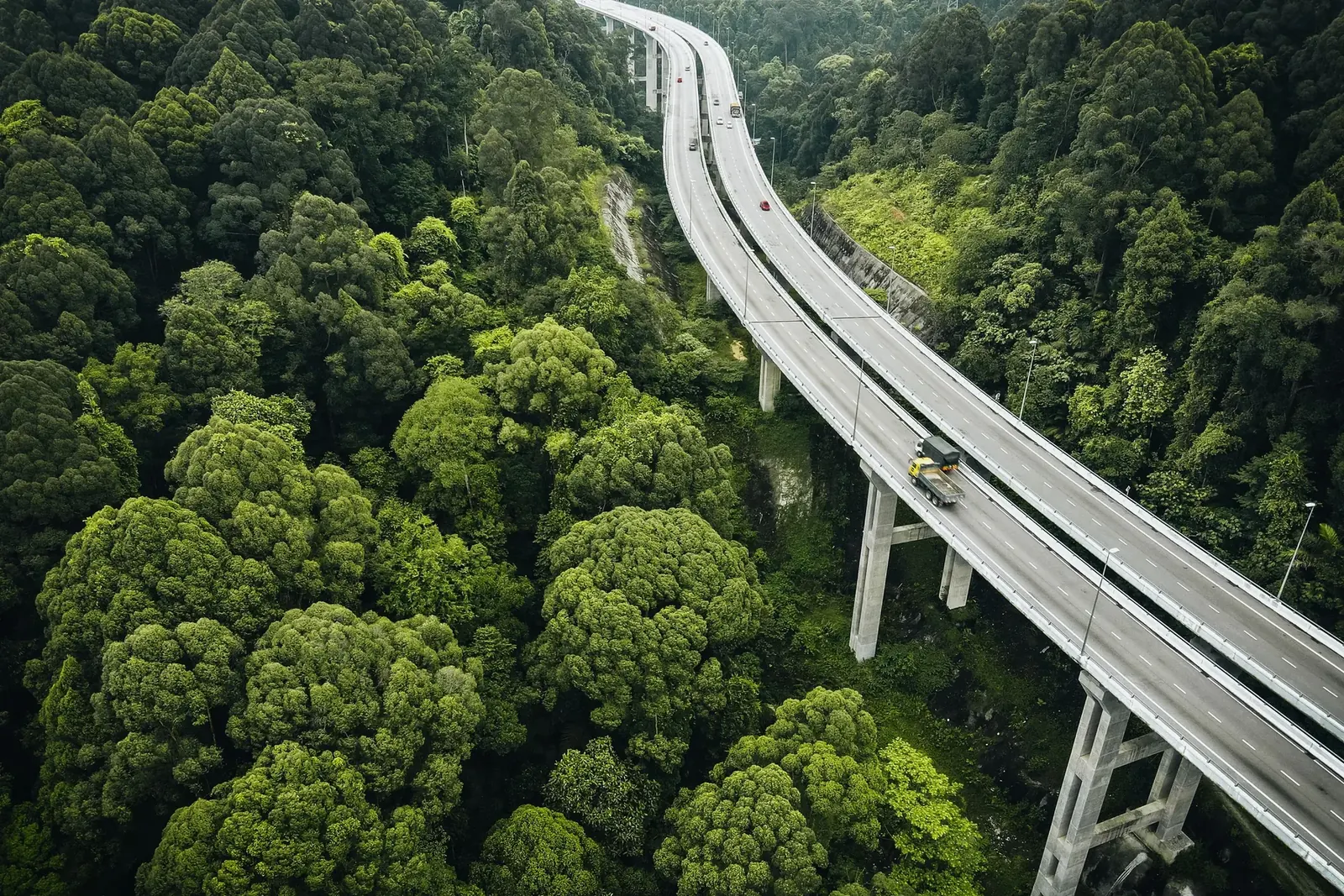 Vue aérienne d'un viaduc autoroutier traversant une forêt dense